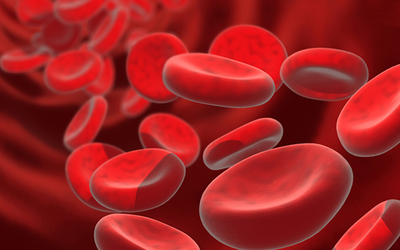 blood bank photo
