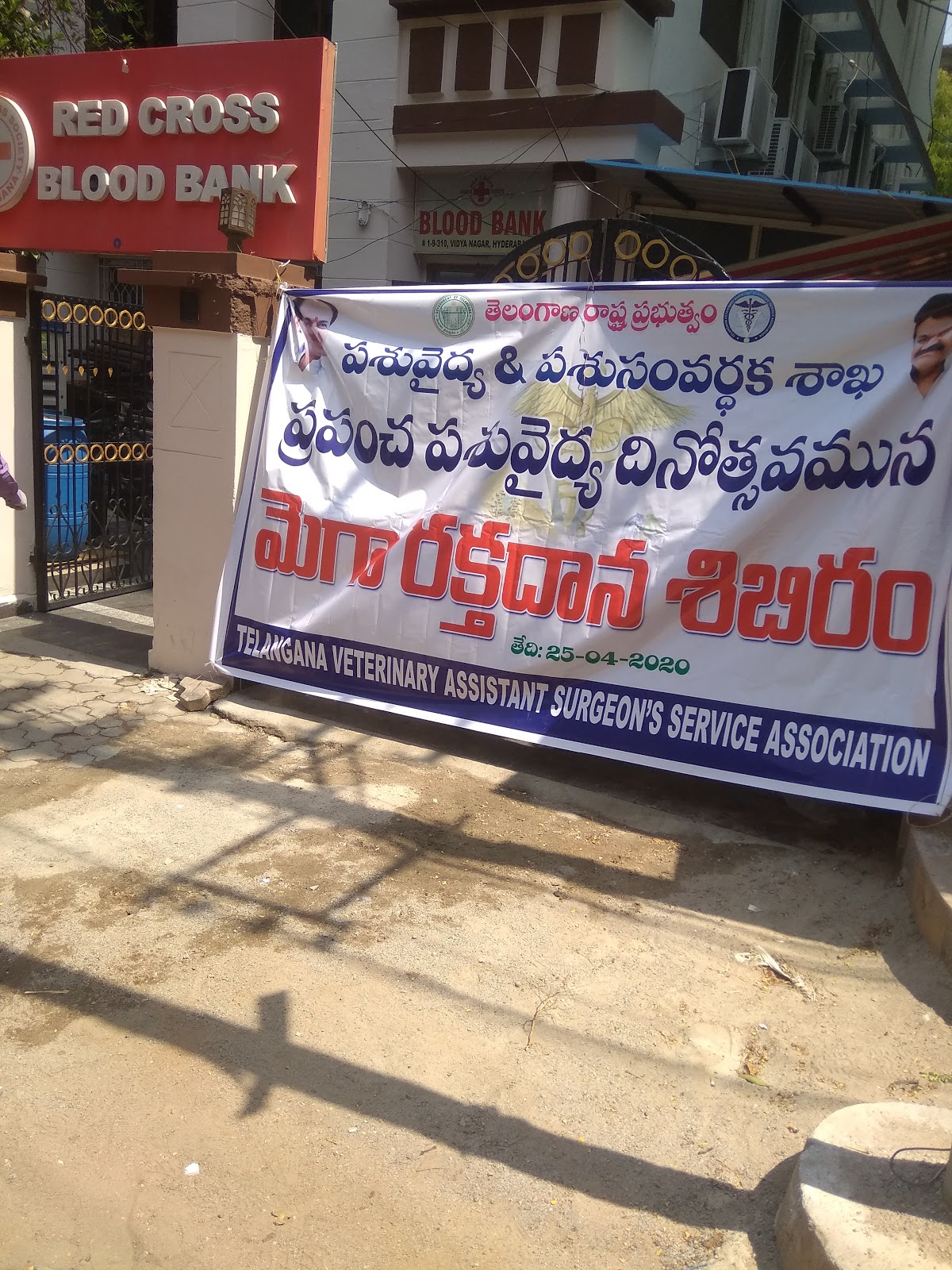 blood bank photo
