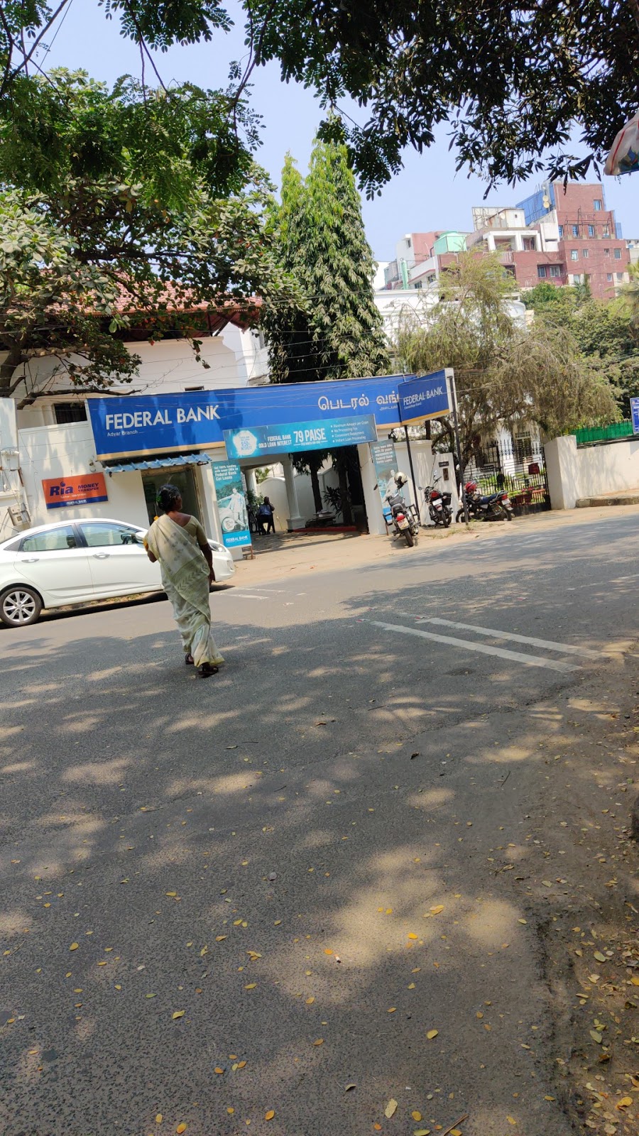 blood bank photo