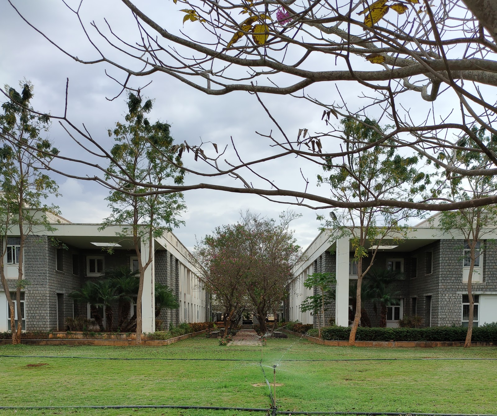 SSIMS COLLEGE