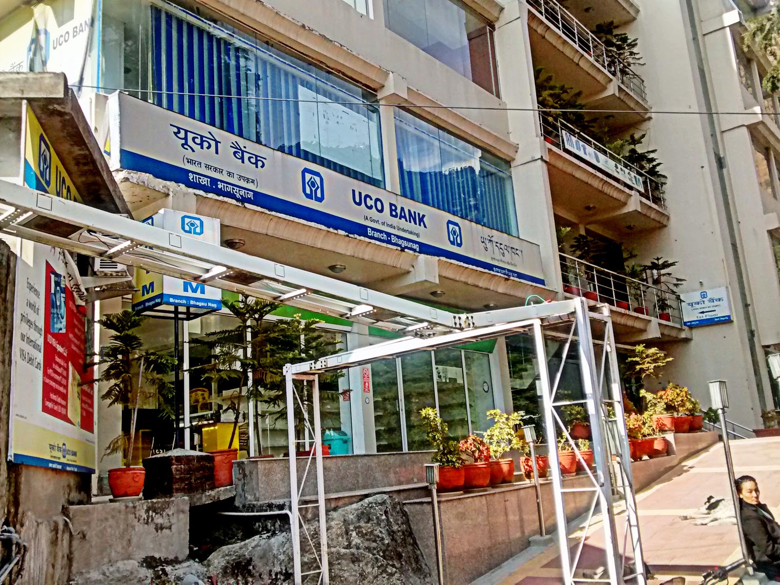 blood bank UCO Bank near Dharamshala Himachal Pradesh