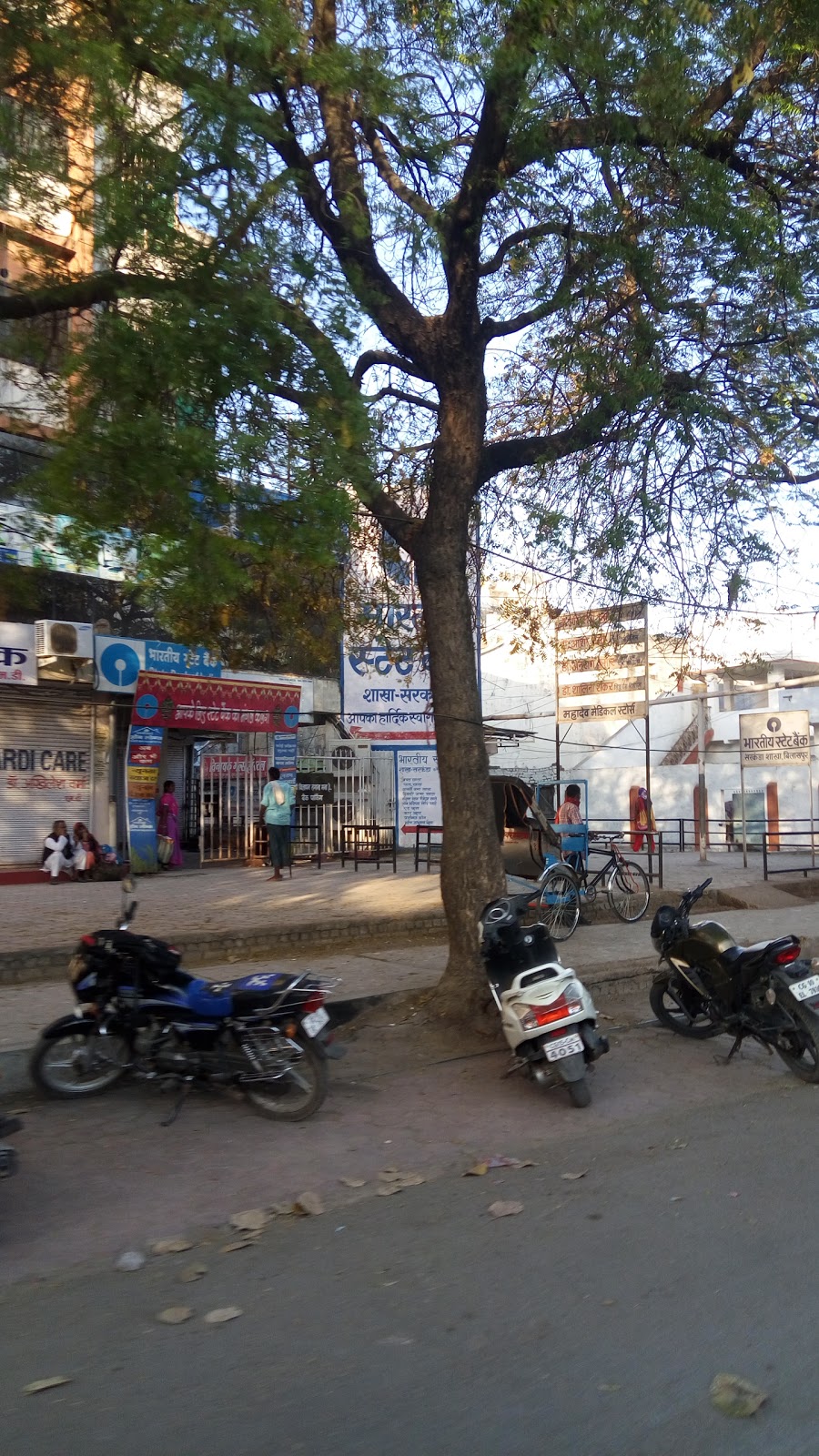 blood bank State Bank of India near Bilaspur Chhattisgarh