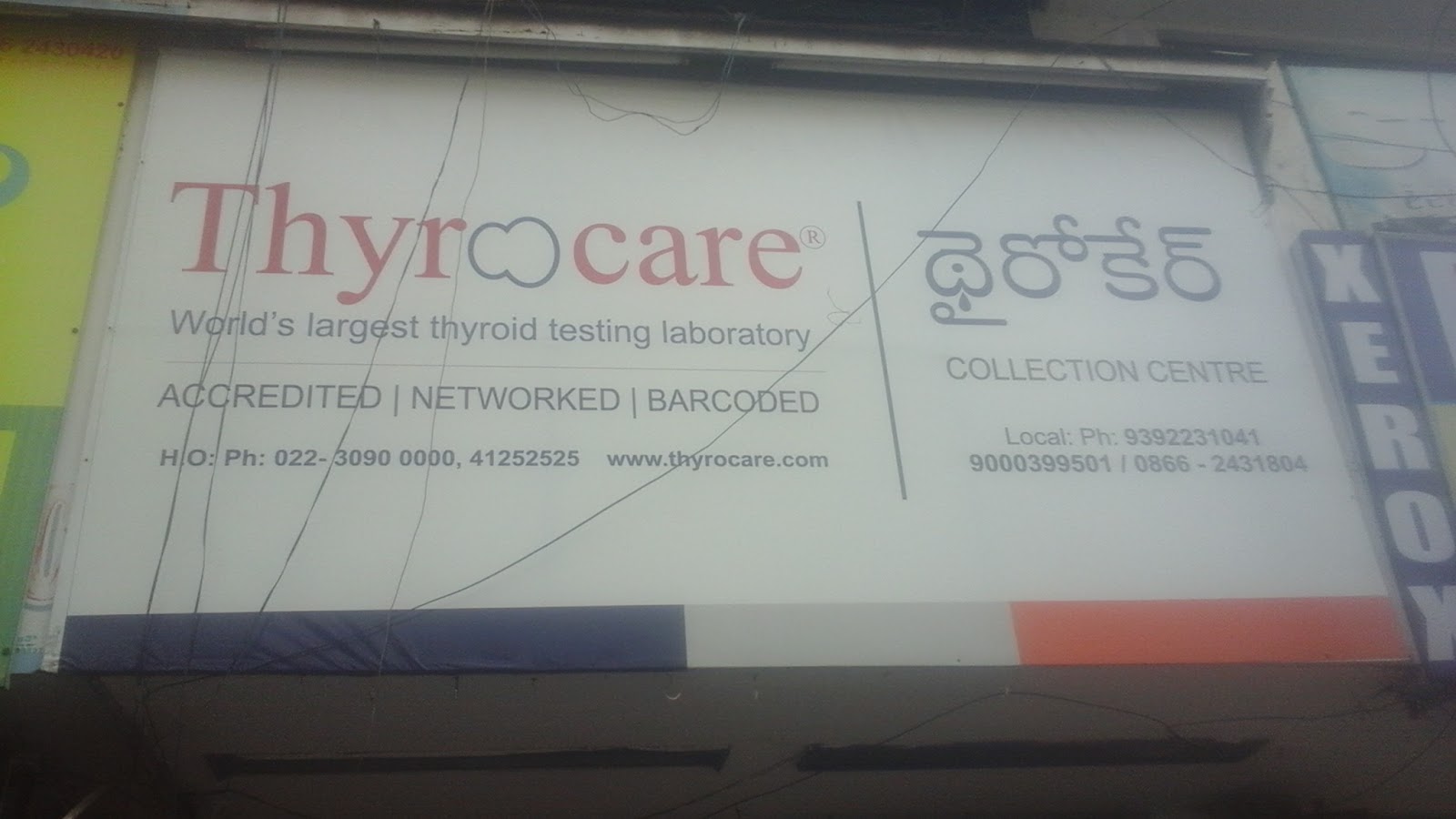 blood bank