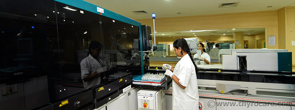 blood bank photo