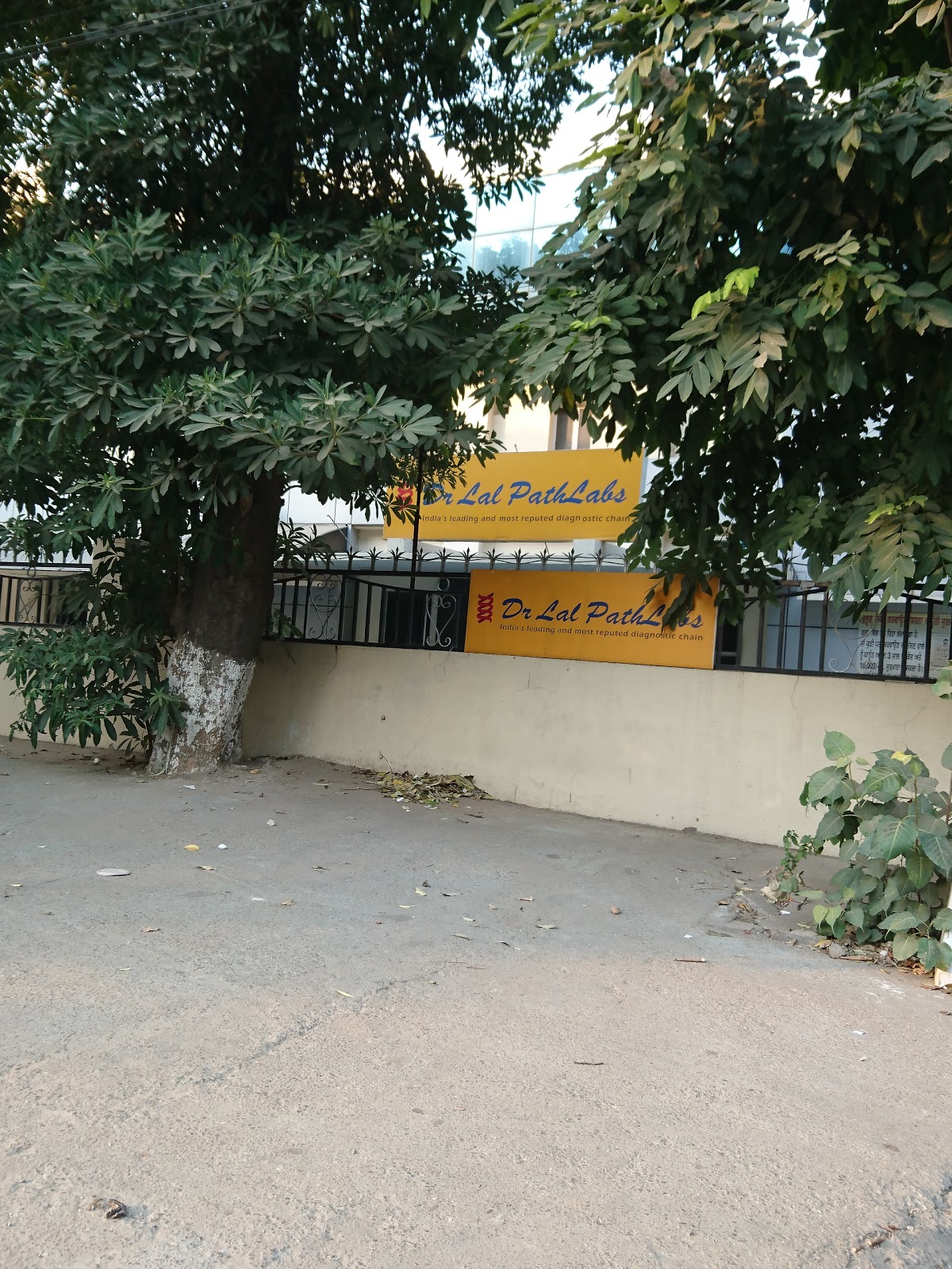 blood bank Dr Lal Path Labs near Ludhiana Punjab