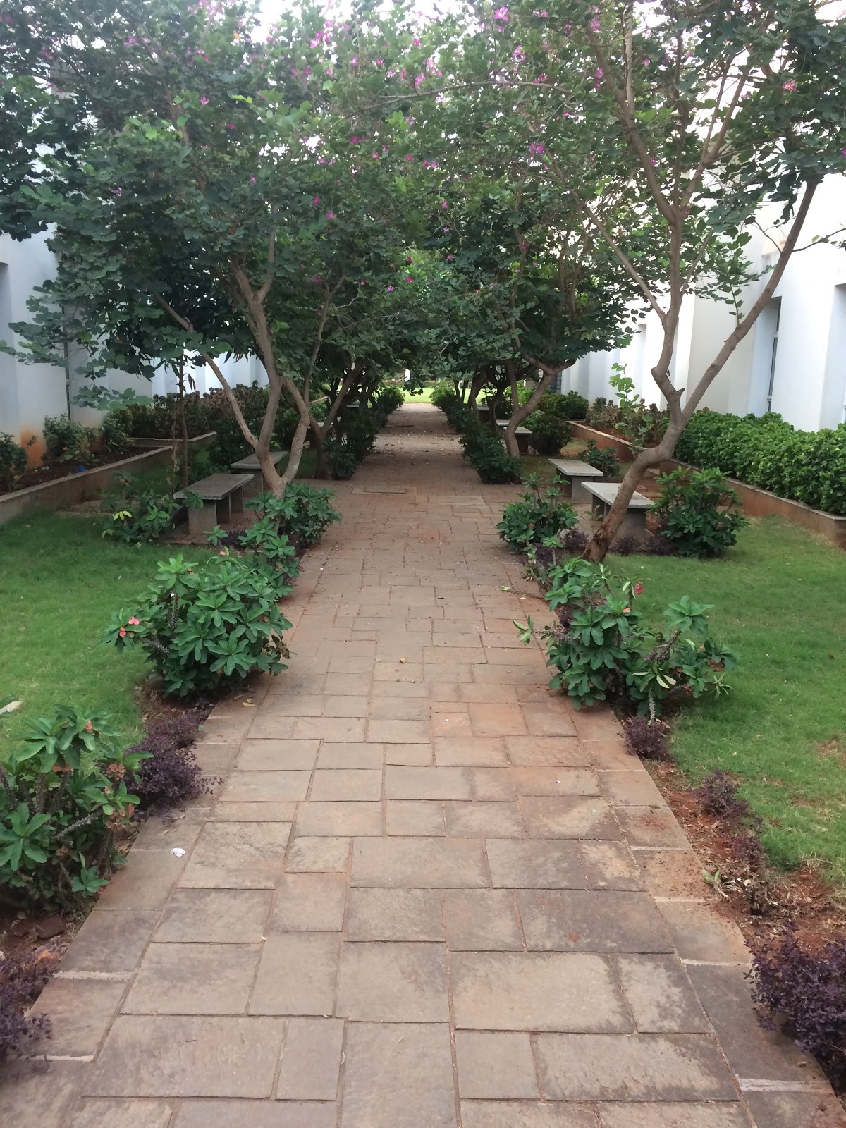 SSIMS COLLEGE
