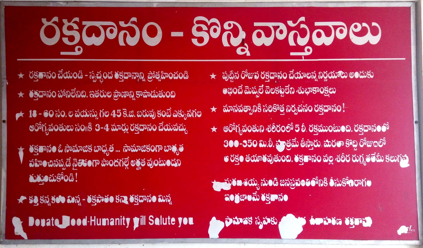 blood bank photo