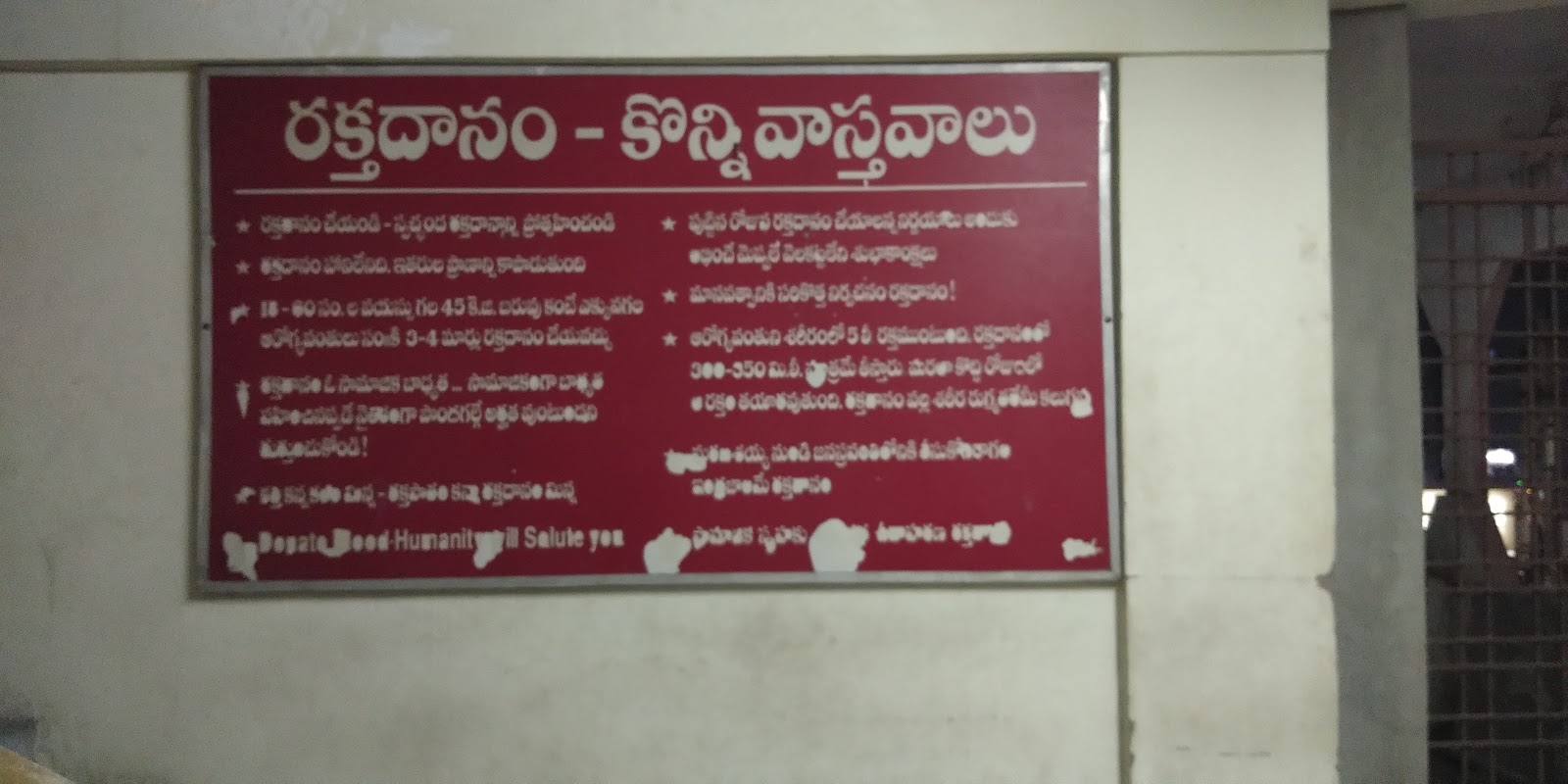 blood bank photo