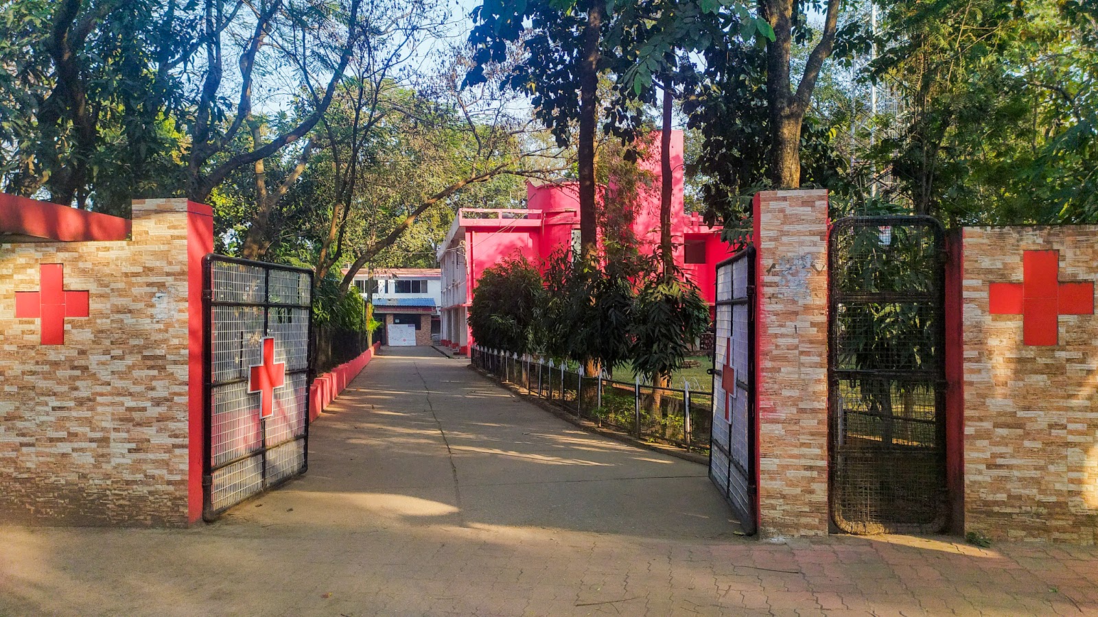 bloodbank image