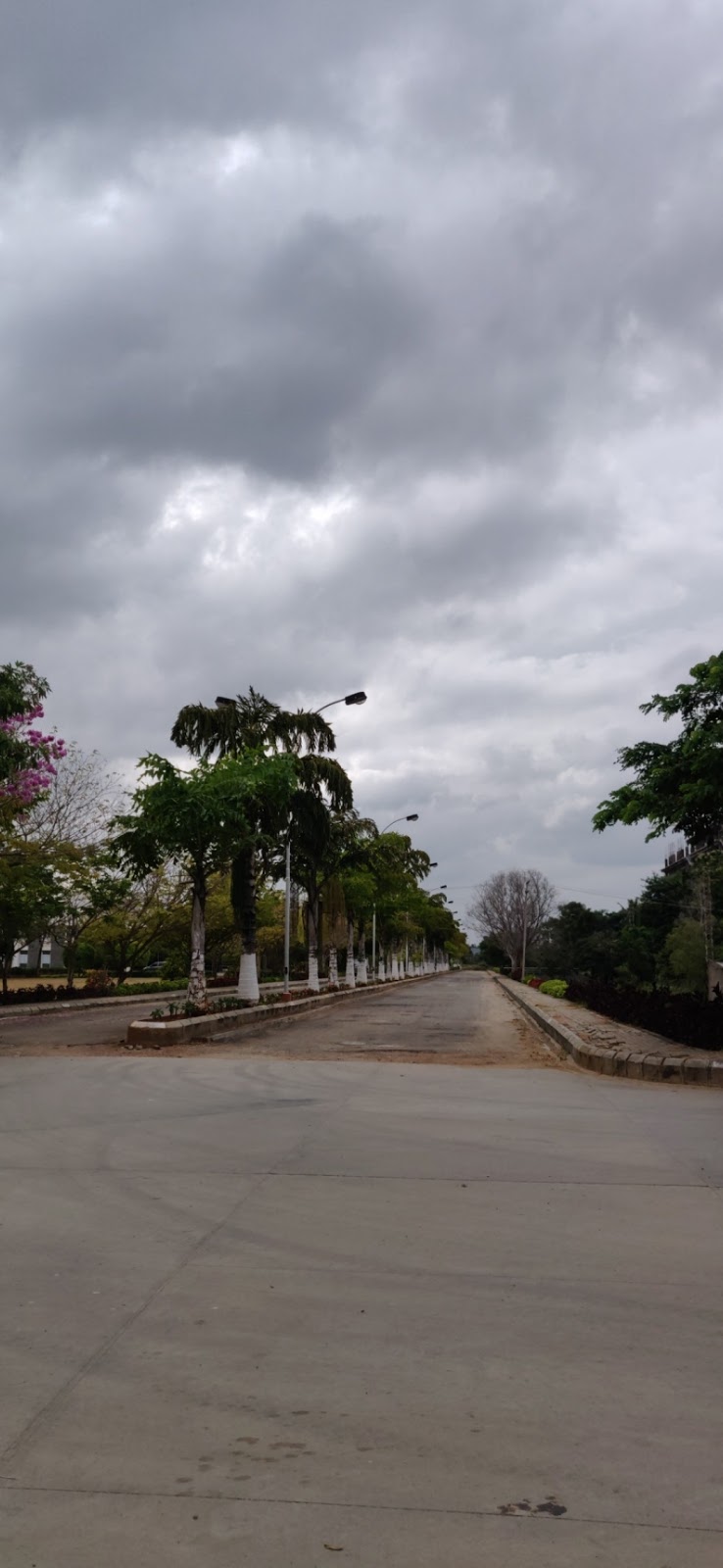 SSIMS COLLEGE