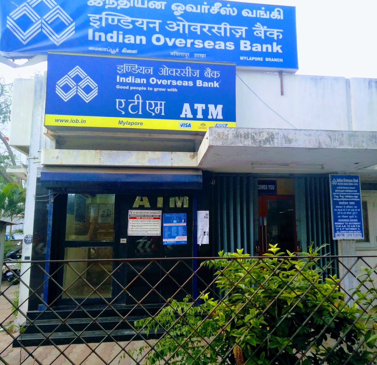 blood bank photo